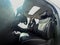 2025 Hyundai Palisade SEL Premium 8 Passenger